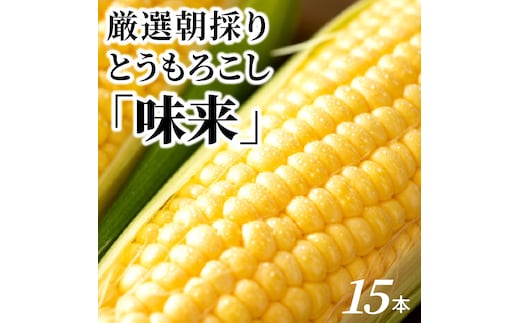 厳選朝採り とうもろこし(スイートコーン)「味来」 15本 甘い 柔らかい 安心 安全 新鮮 早朝収穫 野菜 夏野菜 大容量 H017-092