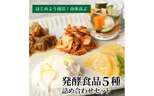 はじめよう菌活！身体喜ぶ発酵食品5種詰め合わせセット H147-005