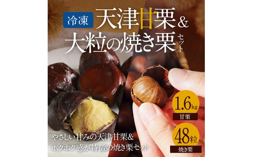 【冷凍】天津甘栗1.6kg＆大粒の焼き栗セット 焼きたて 栗 くり 栗爪 殻付き お菓子 おつまみ 人気 高リピート 小分け 美容 健康 栄養豊富 H045-055