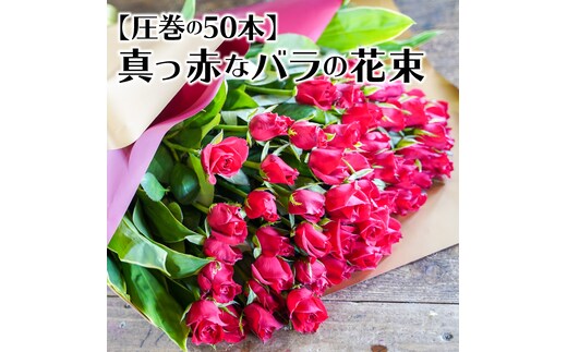 【圧巻の50本】真っ赤なバラの花束 H092-048