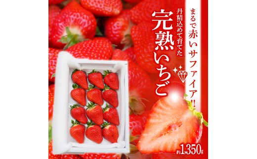 （予約受付中）【12月以降順次発送】まるで赤いサファイア!!丹精込めた完熟いちご!! 約1350g H130-011