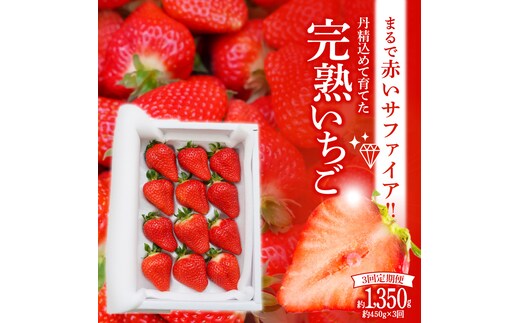 （予約受付中）【いちご定期便】（1月2月3月お届け）まるで赤いサファイア!!丹精込めた完熟いちご!! 約450g×3回 H130-013