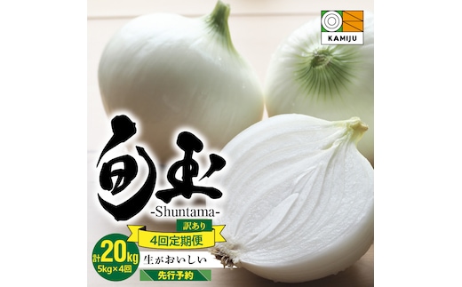 (2026年発送)訳あり 新玉ねぎ 定期便 5kg×4回 生がおいしい 神重農産のブランド玉ねぎ「旬玉」 H105-129