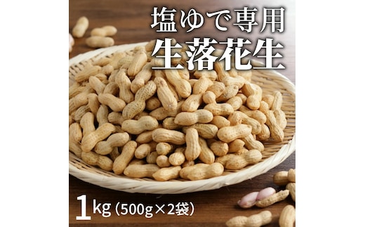 【2026年発送】事前予約 やみつき極うま “金の生落花生” 1kg(500g×2袋) 生ピーナッツ 塩ゆで専用 H105-141
