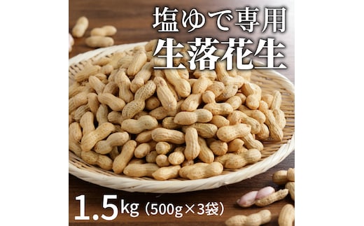 【2026年発送】事前予約 やみつき極うま “金の生落花生” 1.5kg(500g×3袋) 生ピーナッツ 塩ゆで専用 H105-142