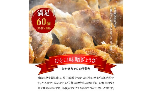 居酒屋のおかあちゃん手作り 店の看板メニューをお届け ひと口味噌ぎょうざ 60個(20個×3袋) H136-035