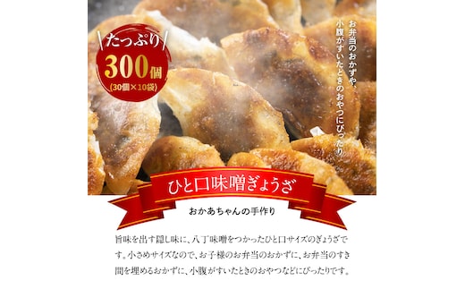 居酒屋のおかあちゃん手作り 店の看板メニュー ひと口味噌ぎょうざ 300個(30個×10袋) H136-030