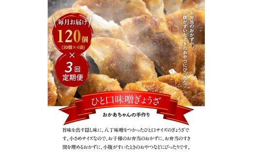 【3ヶ月定期便】居酒屋のおかあちゃん手作り ひと口味噌ぎょうざ 120個（30個×4袋） H136-040