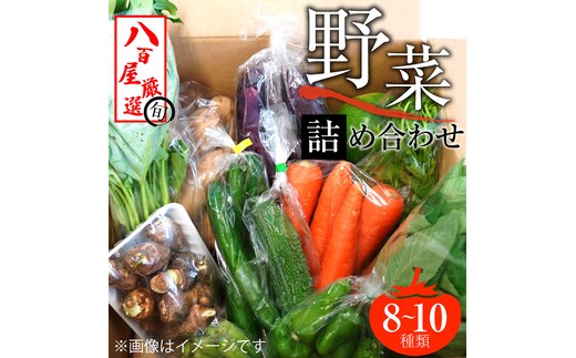 目利きのプロ 八百屋厳選 野菜詰め合わせセット（8～10種類お届け） H151-010
