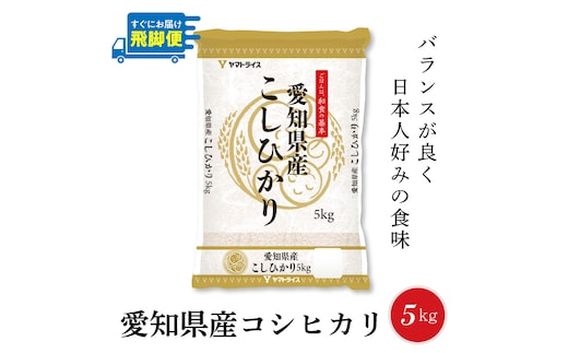 【12月18日受付分まで年内発送】（数量限定）【すぐにお届け&日時指定可】 愛知県産コシヒカリ 5kg こめ コメ ごはん 安心安全なヤマトライス 米 白米 国産 精米 5キロ 新米 令和7年 H074-687