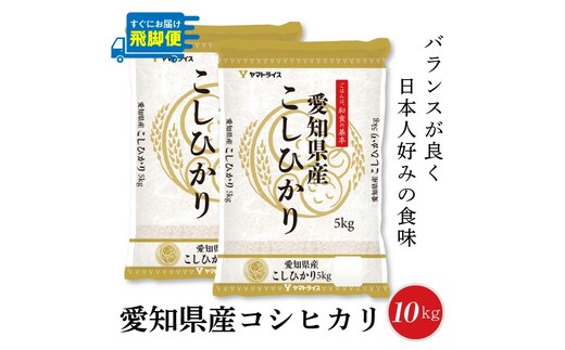 【12月18日受付分まで年内発送】（数量限定）【すぐにお届け&日時指定可】 愛知県産コシヒカリ 10kg(5kg×2袋) こめ コメ ごはん 安心安全なヤマトライス 米 白米 国産 精米 10キロ 新米 令和7年 H074-688