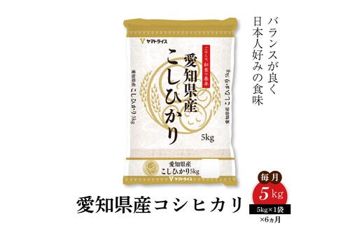 愛知県産コシヒカリ 5kg ※定期便6回 こめ コメ ごはん 安心安全なヤマトライス 米 白米 国産 精米 5キロ H074-697