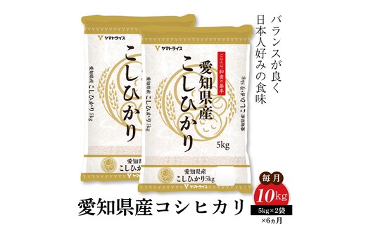 愛知県産コシヒカリ 10kg(5kg×2袋) ※定期便6回 こめ コメ ごはん 安心安全なヤマトライス 米 白米 国産 精米 10キロ H074-698