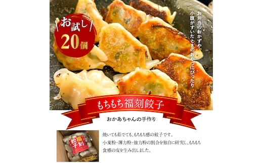 お試し 居酒屋のおかあちゃん手作り もちもち福刻餃子 20個 碧南産にんじん入り H136-036