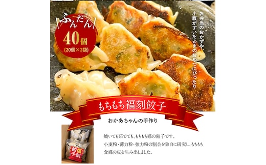 居酒屋のおかあちゃん手作り もちもち福刻餃子 40個(20個×2袋) 碧南産にんじん入り H136-037