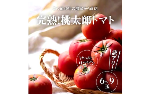 訳あり この道40年の農家から直送 完熟！桃太郎トマト6～9玉 H139-019