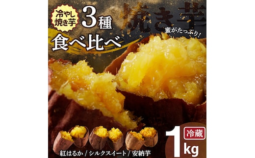 焼き芋 蜜たっぷり！冷やし焼き芋 ひえひえ君 3種食べ比べ 約1kg 芋スイーツ H047-034