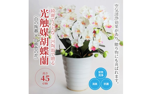 綺麗で丈夫な三河陶器で贈る 光触媒胡蝶蘭小輪３本立（白の陶器×白桃色の花） H100-083