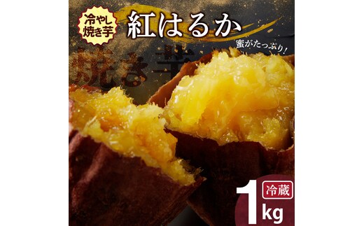 焼き芋 蜜たっぷり！冷やし焼き芋 ひえひえ君 紅はるか 1kg(500g×2) 芋スイーツ H047-030