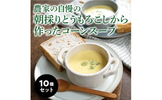 農家の自慢の朝採りとうもろこしから作ったコーンスープ10個セット H132-025