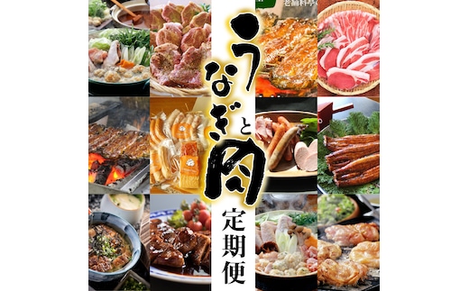 【全12回】厳選！うなぎとお肉の定期便(毎月お届け） H028-076