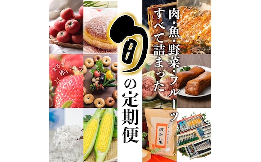 肉・魚・野菜・フルーツすべて詰まった旬の定期便(全12回お届け) H028-077