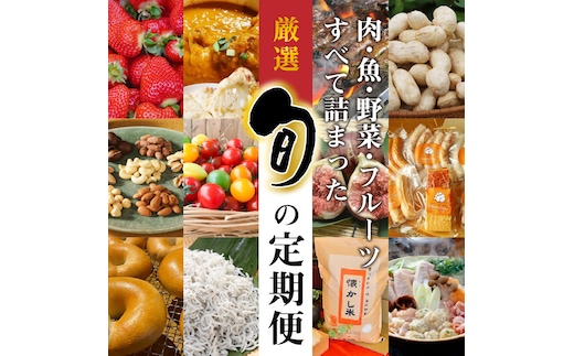 定期便 12回 厳選 肉 魚 野菜 フルーツ すべて 詰まった 旬 全12回 12ヶ月 いちご いちじく カレー トマト うなぎ しらす ベーグル 甘栗 ナッツ 生落花生 米 ハム 鶏 鍋セット お届け グルメ お取り寄せ お取り寄せグルメ 愛知県 碧南市 送料無料 H028-078
