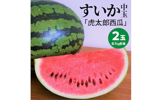 〈予約受付〉【2027年発送】夏の風物詩 中玉すいか「虎太郎西瓜」２玉 甘い 糖度 赤い さっぱり シャリ感 H141-016