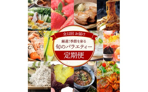 【全12回】厳選！季節を彩る旬のバラエティ定期便 H028-079
