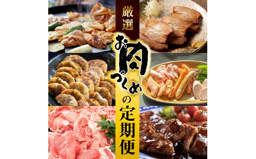 【全6回】厳選！お肉づくめの定期便 H028-080