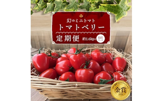 1月～6月毎月発送 幻のミニトマト トマトベリーの定期便 6回コース 野菜ソムリエサミット 金賞 受賞 長田農園 産地直送 トマト とまと 野菜 やさい フルーツ サラダ 濃厚 甘い ご褒美 プレゼント 美容 健康 リピート多数 人気 高評価 数量限定 碧南市 H004-134