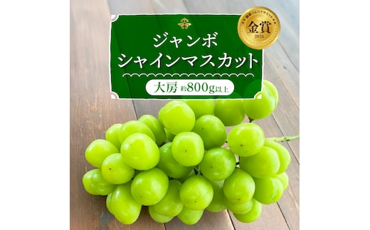【2026年発送】特大房！ みなさんの応援から大きく実った特大シャインマスカット約800ｇ以上（1房）【数量限定】 フルーツ H004-152