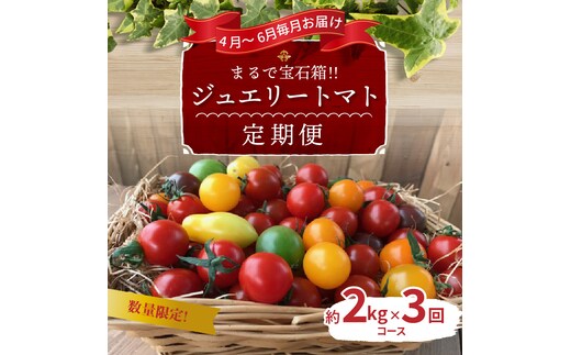 【4月～6月の定期便】たっぷり約2kg×3回！ フルーツジュエリーミニトマトの定期便 長田農園 産地直送 カラフル トマト とまと 野菜 やさい フルーツ サラダ 濃厚 甘い ご褒美 プレゼント 美容 健康 リピート多数 人気 高評価 数量限定 碧南市 H004-132