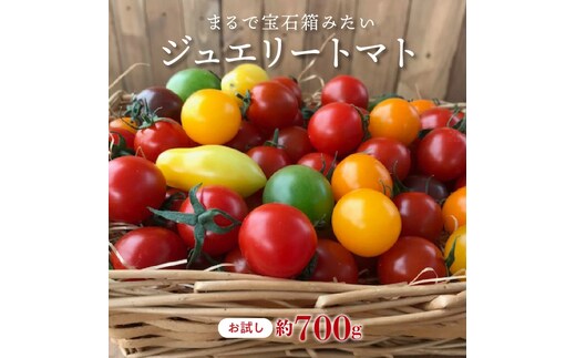 【先行受付】2026年11月から発送【お試し】まるでトマトの宝石箱！ジュエリートマト 約700g（11月～2月発送） 長田農園 産地直送 トマト とまと 野菜 やさい フルーツ サラダ 濃厚 甘い ご褒美 プレゼント 美容 健康 リピート多数 人気 高評価 先行受付 数量限定 碧南市 H004-184_Nov