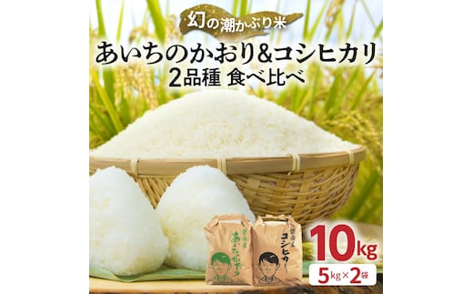 〈数量限定〉【幻の潮かぶり米】令和7年産新米 あいちのかおり&コシヒカリ2品種 食べ比べ10kg（5kg×2袋） 令和７年度産 新米 米 コメ 新米 あいち 愛知 かおり コシヒカリ こしひかり 数量限定 H073-009