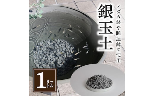 【バクテリアが多く住める多孔質ろ材】 銀玉土１リットル めだか鉢 金魚鉢 メダカ 鉢 陶器 睡蓮 多孔質土 H100-084