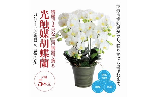 綺麗で丈夫な三河陶器で贈る光触媒胡蝶蘭大輪５本立（グリーンの陶器×白色の花） H100-094