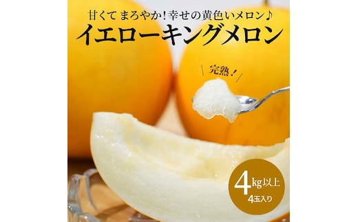 【2026年発送】完熟！イエローキングメロン 4kg以上（4玉入り） フルーツ 果物 甘い H141-018