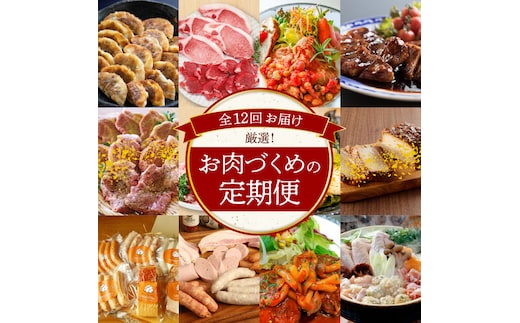 【全12回】厳選！お肉づくめの定期便 H028-081