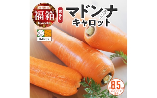 ＜フジテレビ『どっちのふるさと？』で紹介されました！＞ 福箱★2026 訳あり 野菜 にんじん マドンナキャロット 8.5kg 大小サイズ混合 国産 不揃い こどもも食べられる 甘み 料理 キャロット ジュース 野菜ジュース 福袋 愛知県 碧南市 お取り寄せ 送料無料 H105-168