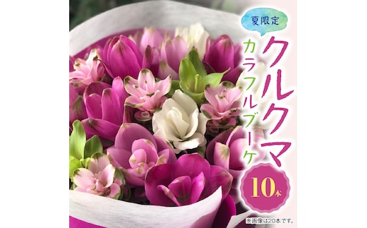 【夏限定】花もち抜群！碧南市産「クルクマ」 カラフルブーケ 10本をかわいく花束にしてお届け H174-001