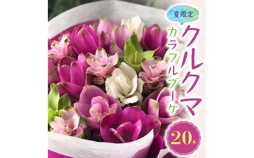 【夏限定】花もち抜群！碧南市産「クルクマ」 カラフルブーケ 20本をかわいく花束にしてお届け H174-002