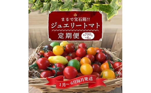 1月～6月毎月発送 まるでトマトの宝石箱！ジュエリートマトの定期便 約700g×6回コース H004-170