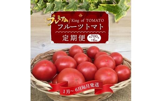 1月～6月毎月発送 プレミアムフルーツトマトの定期便 約700g×6回コース H004-171
