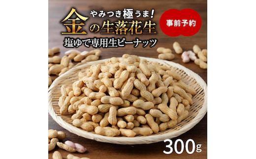 【2026年発送】事前予約 やみつき極うま “金の生落花生” 300g 生ピーナッツ 塩ゆで専用 H105-140
