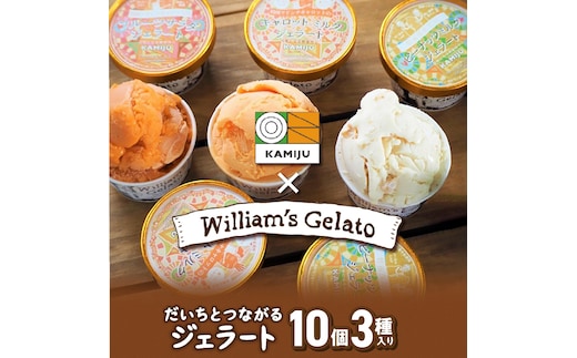 【3種のフレーバーを食べ比べ!!】だいちとつながるジェラート10個セット 映えるデザインが可愛いと話題に!! マドンナキャロット 地元野菜 甘い アイス スイーツ デザート 洋菓子 可愛い 詰め合わせ キャロットミルク フルーツサラダ ピーナッツミルク 自慢 冷たい にんじん 人参 落花生 ピーナッツ 農家 神重農産 H105-171