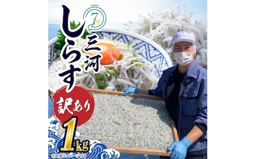 【12月24日受付分まで年内発送】訳あり こモリ1kg！バラエティ豊富な三河しらす～海の仲間たち～ H018-046