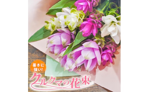 【暑さに強い花】 クルクマの花束 クルクマ 花 紫 白 夏 敬老の日 贈り物 プレゼント フラワーギフト インテリア 雑貨 H092-050