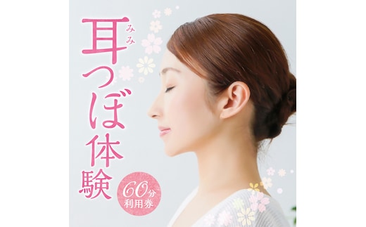 耳つぼ体験 60分 利用券【１名様分】リラクゼーション 健康 マッサージ 癒しプライベートサロン チケット H178-008