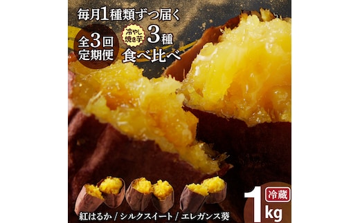 【全3回】毎月1種類ずつ届く 冷やし焼き芋定期便 約1kg×3回（計3種） 芋スイーツ H047-038